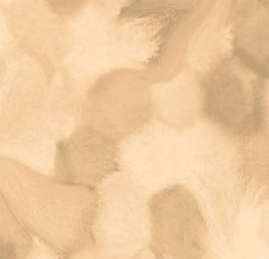 001597FR Welcome to Jupiter Sepia