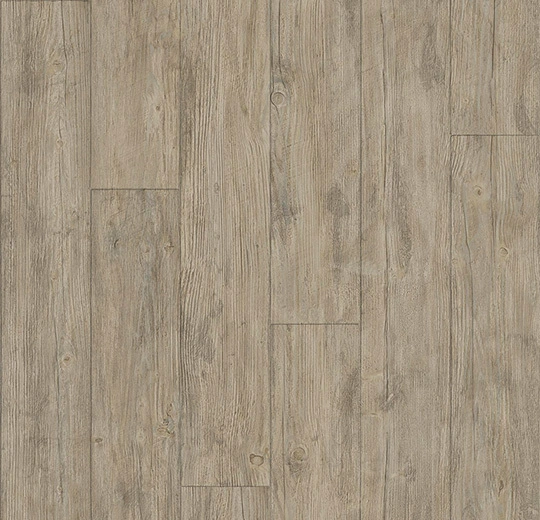 010039FR European white wood