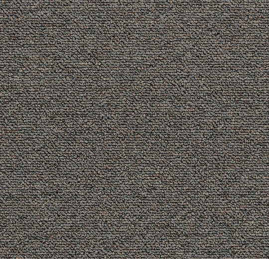 2105FR aniseed