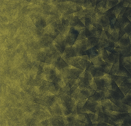 322012FR Artist emerald / chartreuse B2