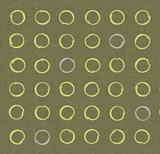 530028FR Spin Lichen