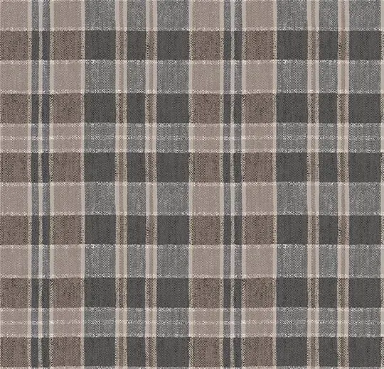 590003E Plaid Clay