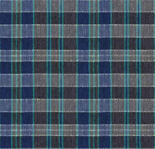 590009E Plaid Steel