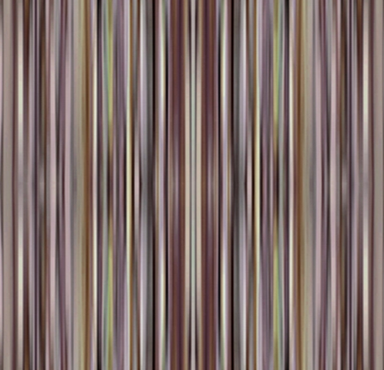 700003FR Spectrum Nutmeg