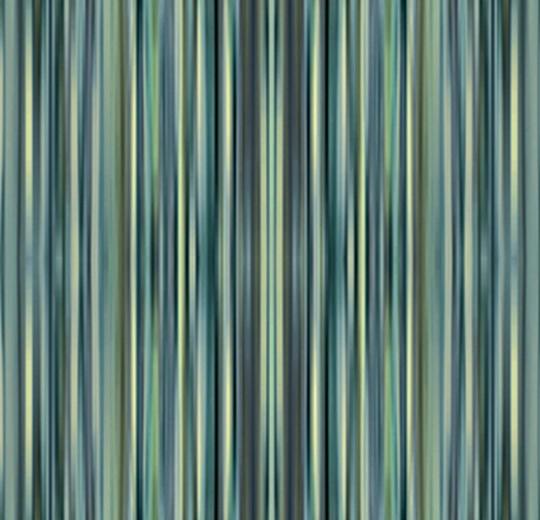 700005FR Spectrum Lichen