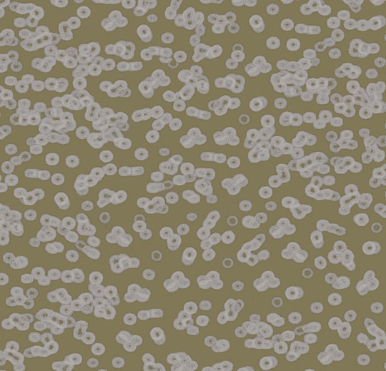 990401FR Bacteria