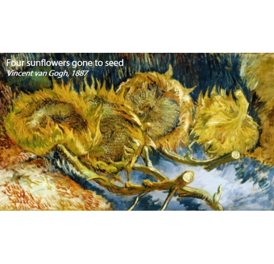 000940F Sunflowers