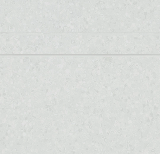 50007 grey sky