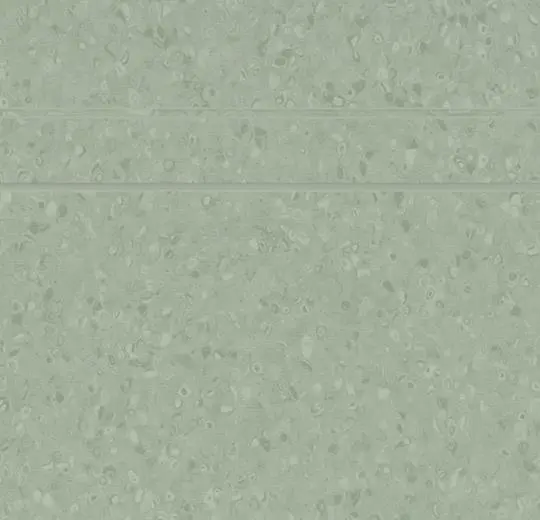 50050 olive