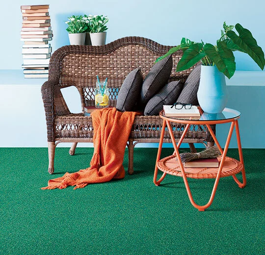 3620 evergreen