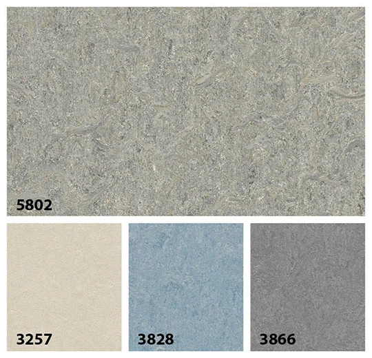 580235 alpine mist