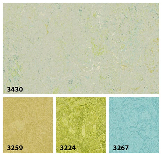 343035 salsa verde