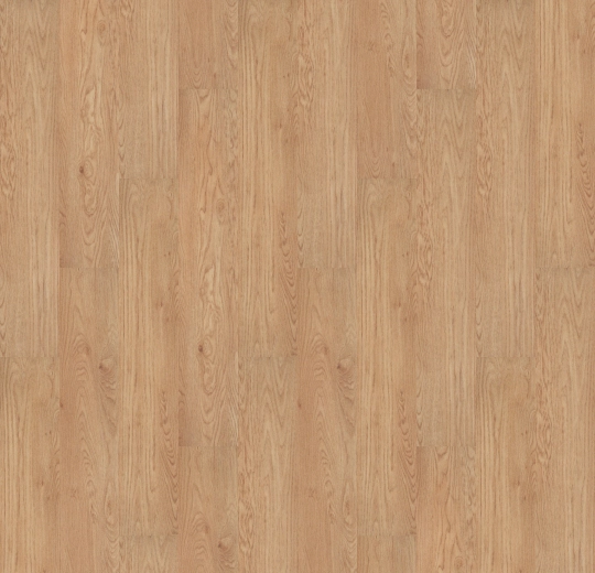 60065FL5 honey elegant oak (120x20 cm)