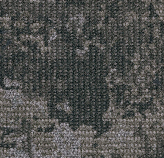 147004 Montage moraine