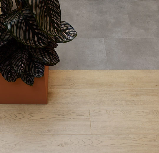 5403AD8 light honey antique oak (100x16.6 cm)