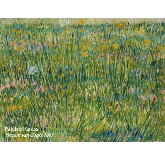 941FR Van Gogh Patch of Grass