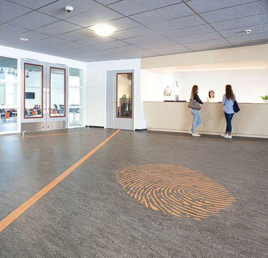 6R3048 Marmoleum Real FR² graphite