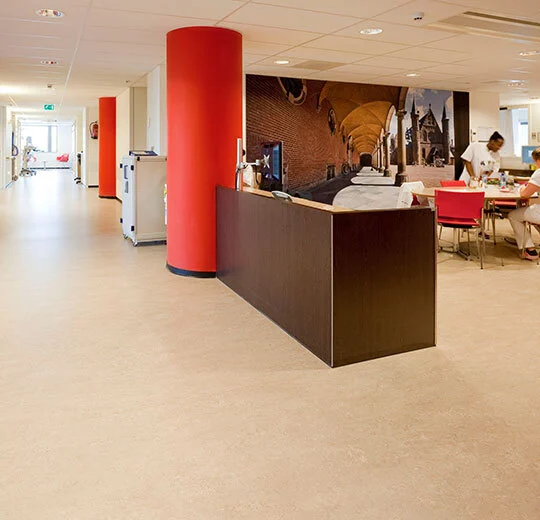 6R3120 Marmoleum Real FR² rosato