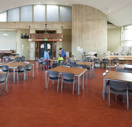 6R3203 Marmoleum Fresco FR² henna