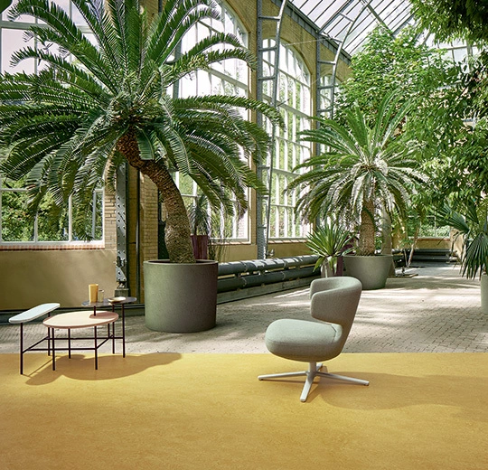 6R3259 Marmoleum Fresco FR² mustard