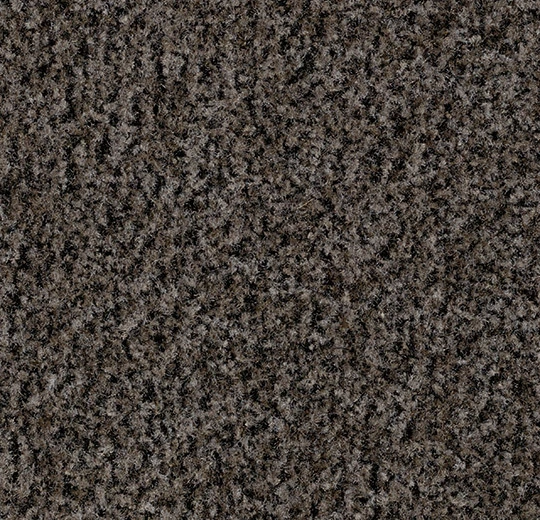 7824 shark grey