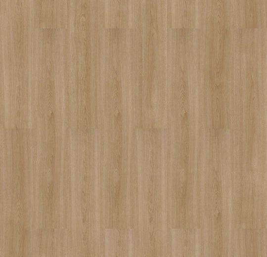8WSM13 golden smooth oak