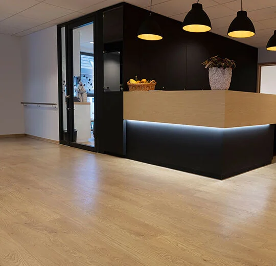 60065FL5 honey elegant oak (120x20 cm)