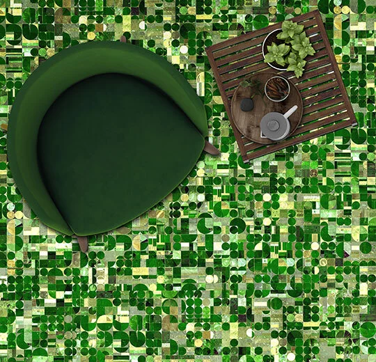 000699 Circular Fields