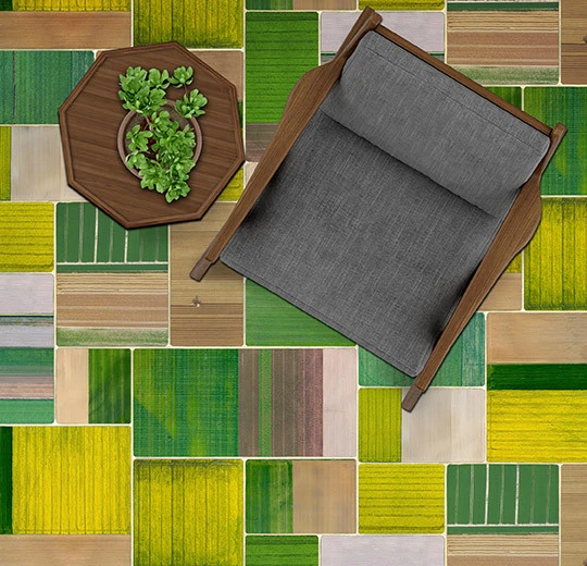 000704 Corn Fields