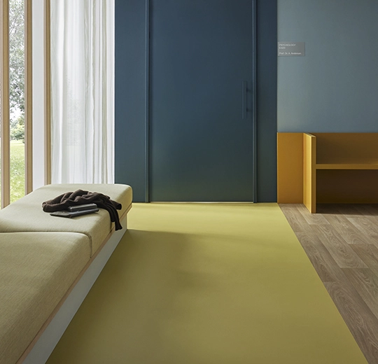 42562 ochre