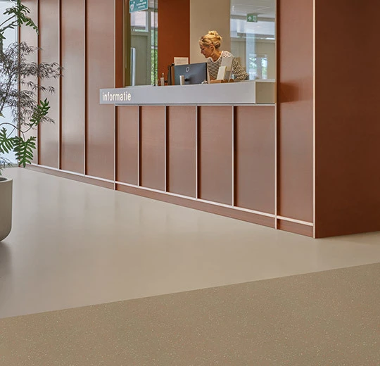 52248 shimmer nutmeg