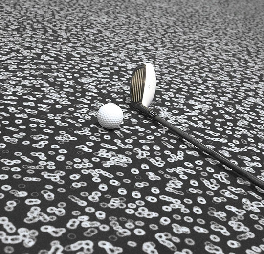 990106 Bacteria