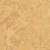 Marmoleum FR² Rail 6R3173 Marmoleum Real FR² Van Gogh