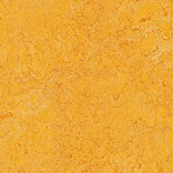 Marmoleum FR² Rail 6R3225 Marmoleum Real FR² dandelion