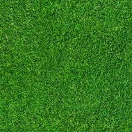 Flotex Natural world 000369F grass