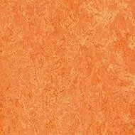 3241 orange sorbet