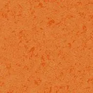432246 orange