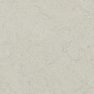 386035 silver shadow