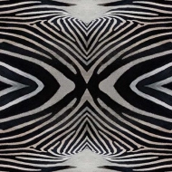 000402 zebra