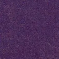3244 purple