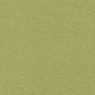 Flotex borders 211085 citrus