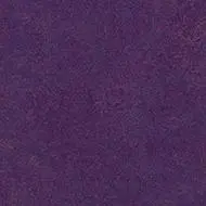 t3244 purple