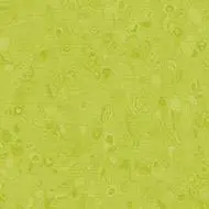 50049 yellow green