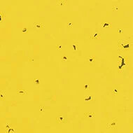 50201 yellow