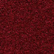 Coral Bright 2603 vivid earth