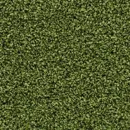 Coral Bright 2608 fresh grass