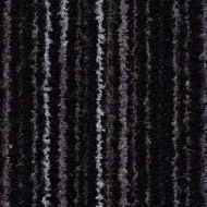 Coral FR Rail 3210FR black magic