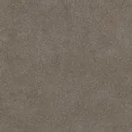 1506 taupe sand