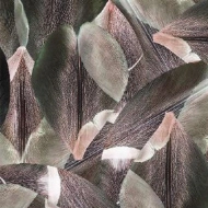 001587F Tulip Field Red