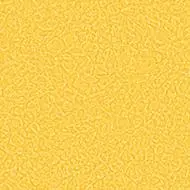 434505 canary